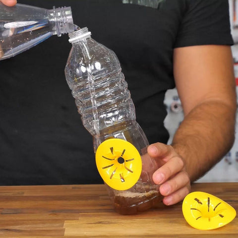 Genius Ideas 6 Piece Wasp Trap for Bottles